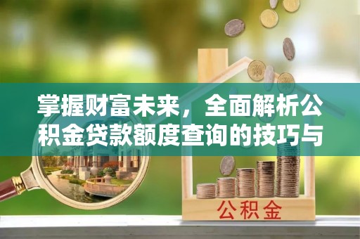 江西掌握财富未来，全面解析公积金贷款额度查询的技巧与策略