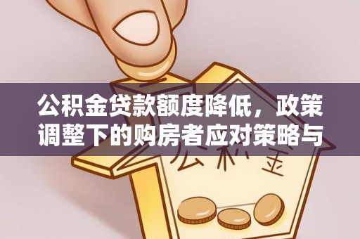 江西公积金贷款额度降低，政策调整下的购房者应对策略与未来趋势