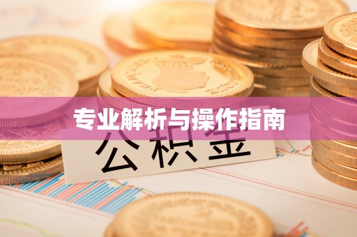 江西专业解析与操作指南
