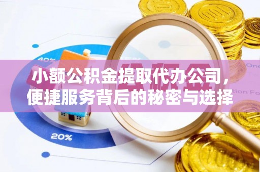 江西小额公积金提取代办公司，便捷服务背后的秘密与选择指南