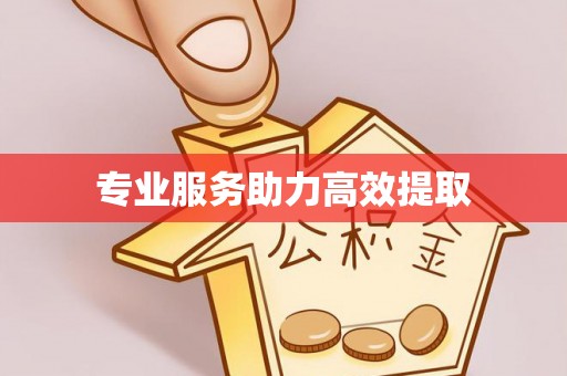 江西专业服务助力高效提取