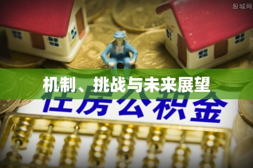江西机制、挑战与未来展望