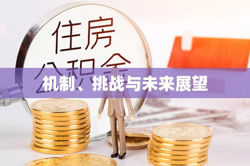 江西机制、挑战与未来展望
